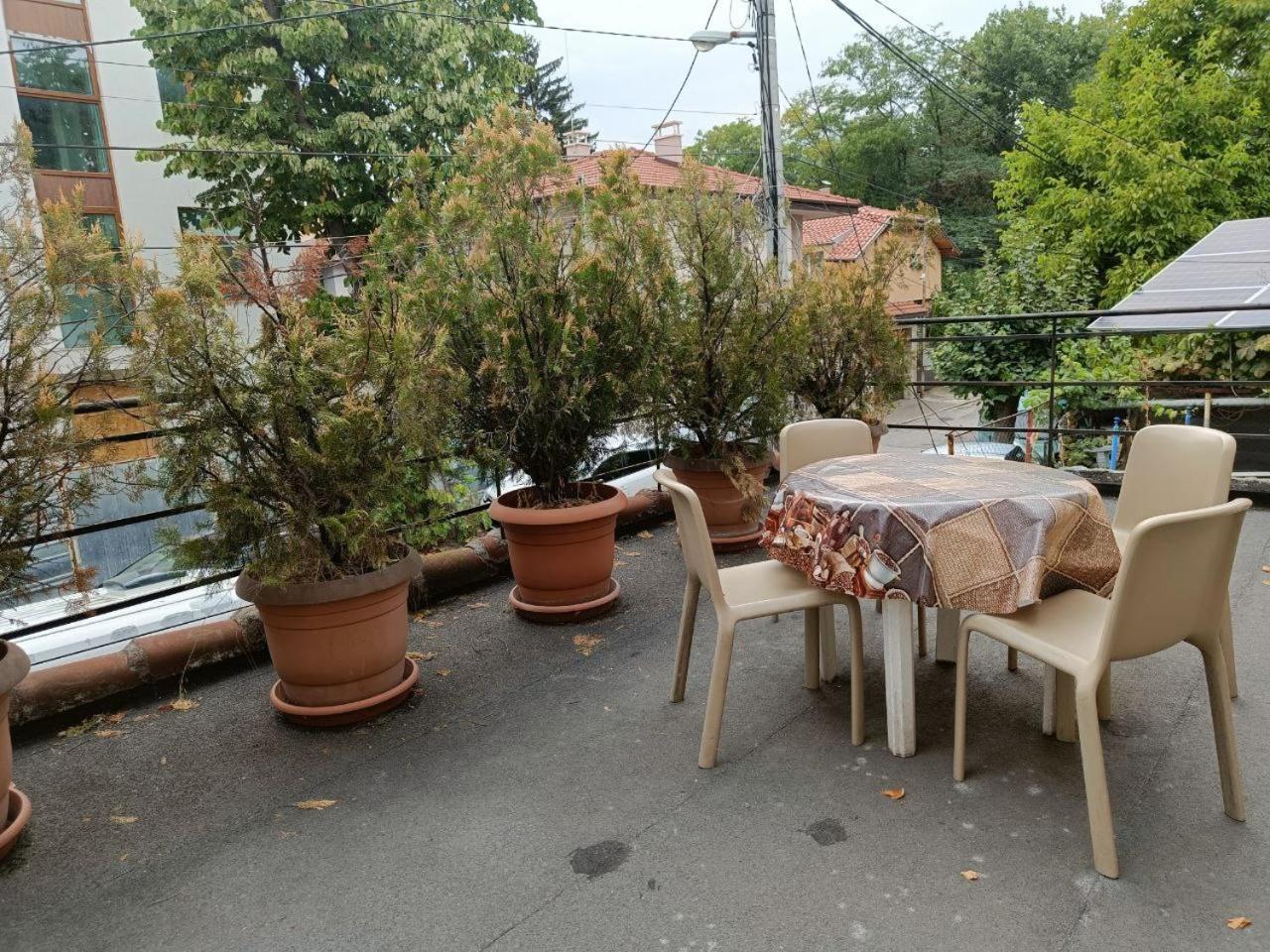 10 Coins Hostel & Tours Sofia Luaran gambar